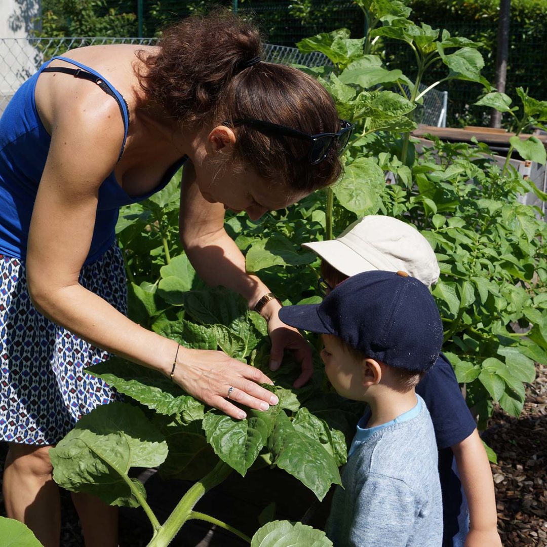 Creche_Versoix_Little_green_House_31