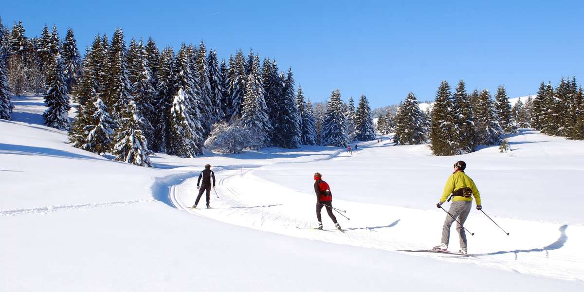 Ski de fond