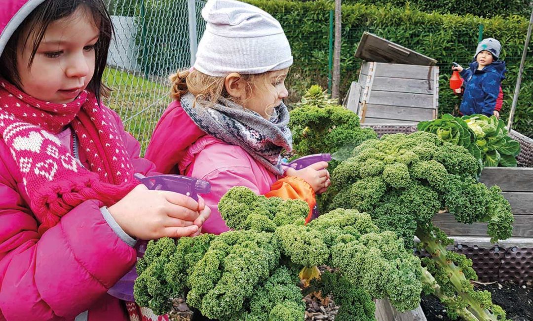 Kita_Versoix_Littlre-green-house-p.60 Kita_Versoix_Littlre-green-house-p.60